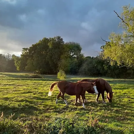 بيت للعطل Cocouyo Port De Vallee