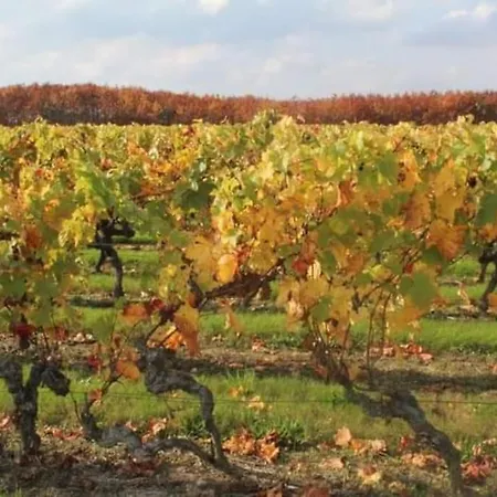 Cocouyo Port De Vallee * Blaison-Saint-Sulpice