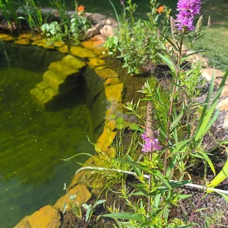 بيت للعطل Cocouyo Port De Vallee Blaison-Saint-Sulpice