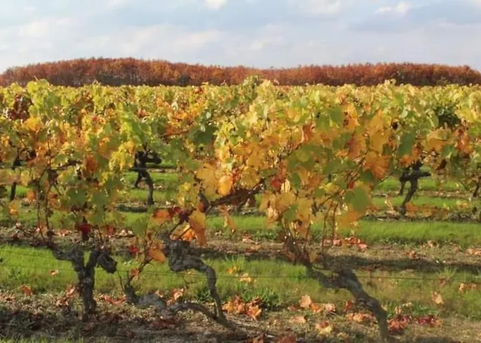 Cocouyo Port De Vallee * Blaison-Saint-Sulpice