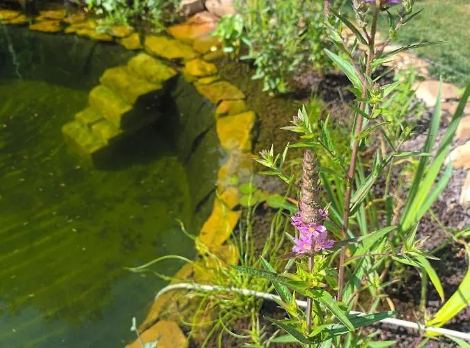 Feriehus Cocouyo Port De Vallee Blaison-Saint-Sulpice