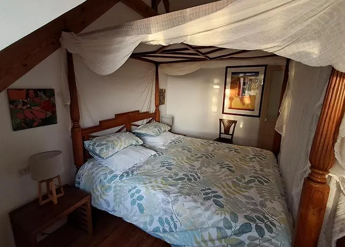 Cocouyo Port De Vallee Blaison-Saint-Sulpice